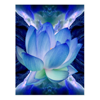 Blue lotus lily postcard