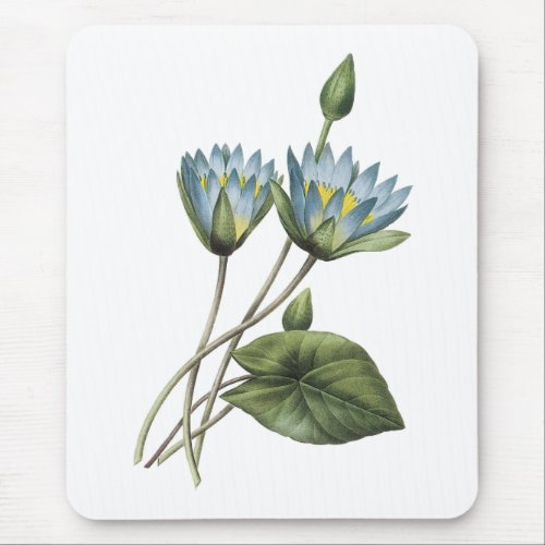blue lotusNymphaea caerulea by Redout Mouse Pad