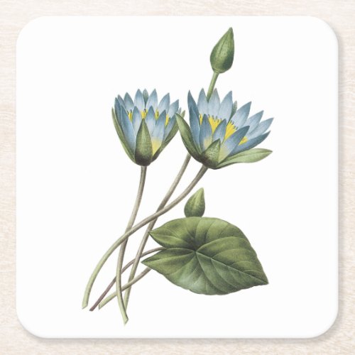 blue lotusNymphaea caerulea by Redout Square Paper Coaster