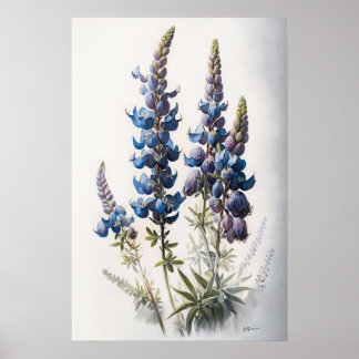 Blue Lupine Flowers Art Print Poster