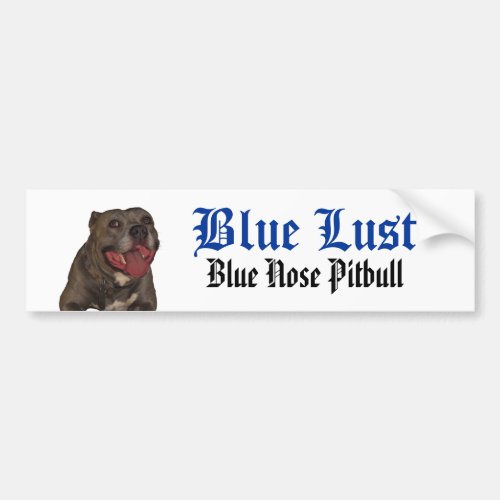 Blue Lust Pitbull Bumper Sticker