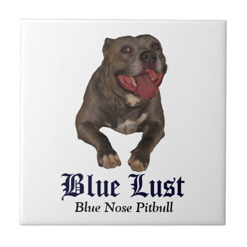 Blue Lust Pitbull Ceramic Tile