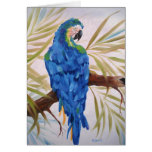 Blue Macaw - Blank Card at Zazzle