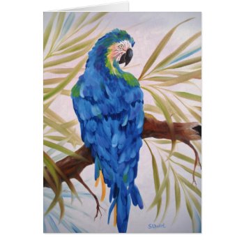Blue Macaw - Blank Card by SherryWeisel at Zazzle
