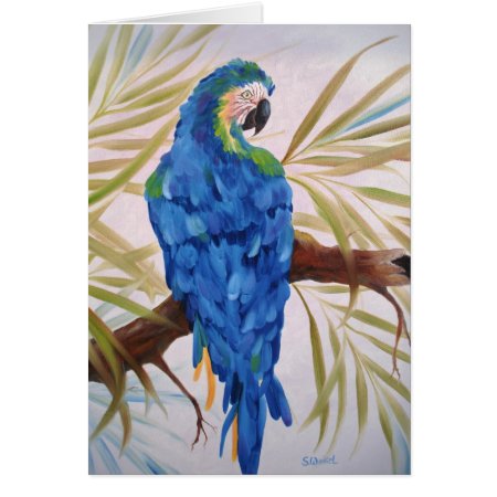 Blue Macaw - Blank Card
