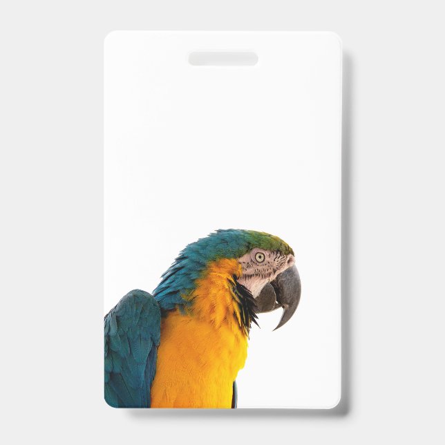 Blue macaw parrot  badge (Front)