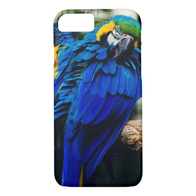Blue Macaw Parrot, Exotic Tropical Bird Case-Mate iPhone Case (Back)