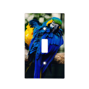 Blue Macaw Parrot, Exotic Tropical Bird Light Switch Cover