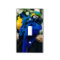 Blue Macaw Parrot, Exotic Tropical Bird