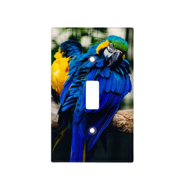 Blue Macaw Parrot, Exotic Tropical Bird Light Switch Cover (Front)