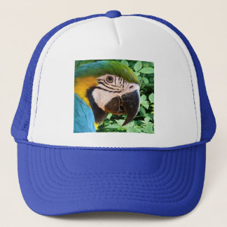 Blue Macaw Parrot Hat