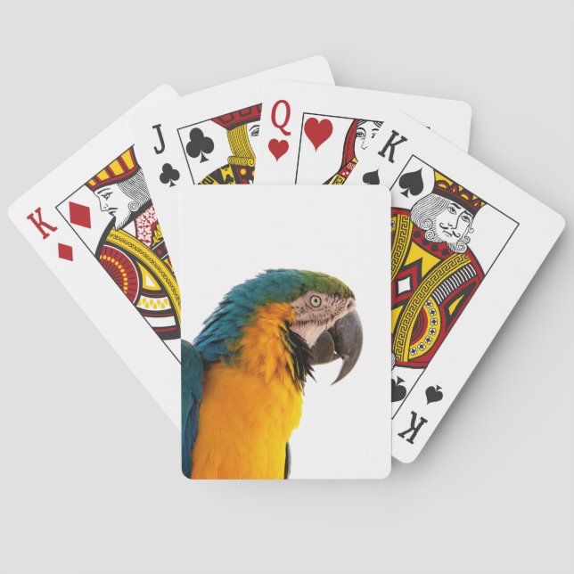 Blue macaw parrot  poker cards (Back)