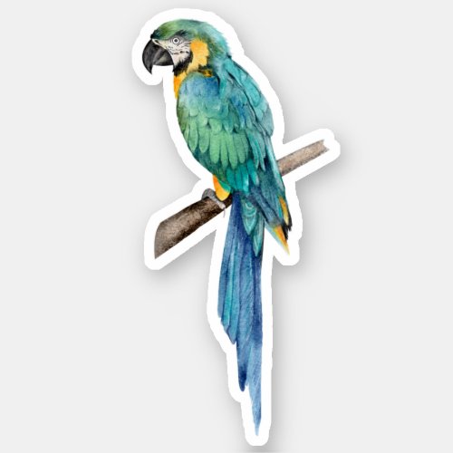 Blue Macaw Parrot Tropical Bird Nature   Sticker