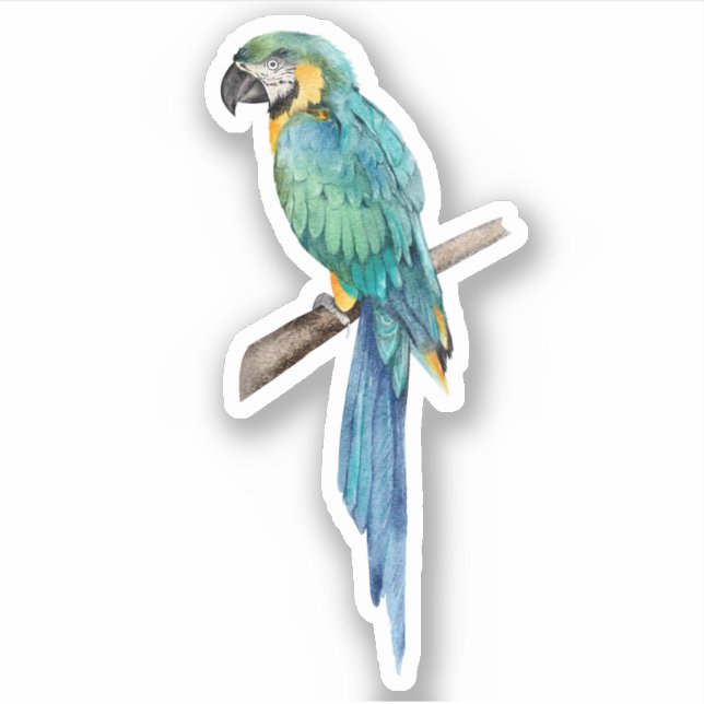 Blue Macaw Parrot Tropical Bird Nature   Sticker (Front)