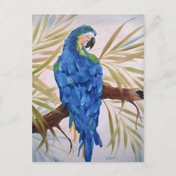 Blue Macaw Post Card by SherryWeisel at Zazzle