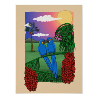 Blue macaw poster