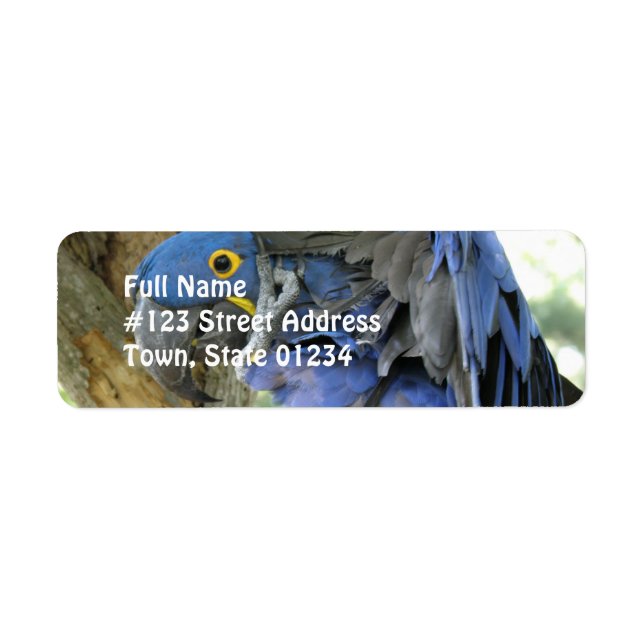 Blue Maccaw Return Address Label (Front)
