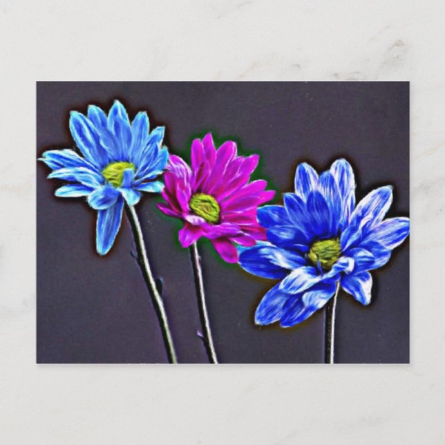 Blue Magenta Postcard (Front)