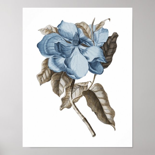 Blue Magnolia Botanical Traditional Wall Decor (Front)