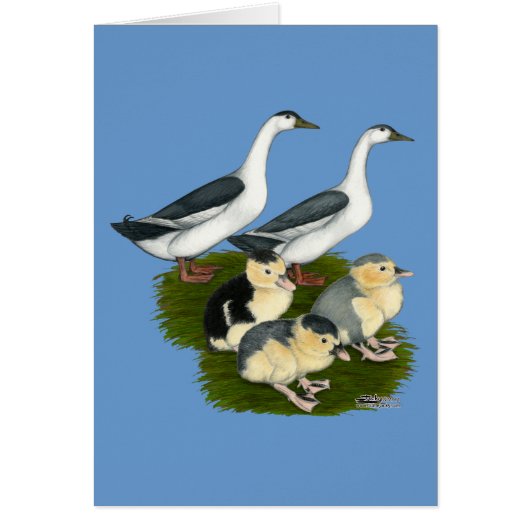 Blue Magpie Duck Family Cards (Front)