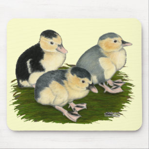 Blue Magpie Ducklings Mouse Pad