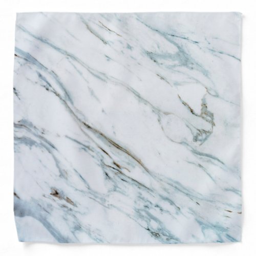 Blue Marble Bandana