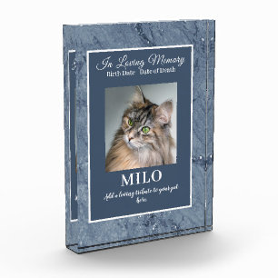Blue Marble Look,  Acrylic Pet Memorial Acrylic Award