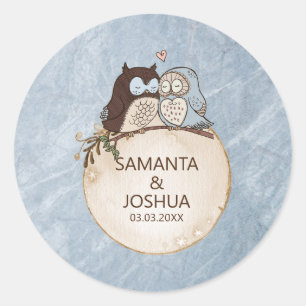 Blue Marble Stone And Owls Classic Round Sticker