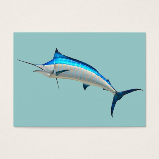 Blue Marlin (Front)