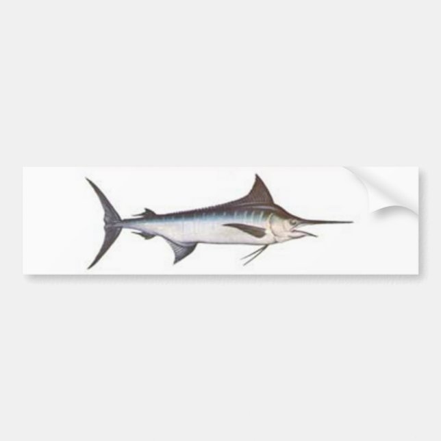 Blue Marlin Bumper Sticker (Front)