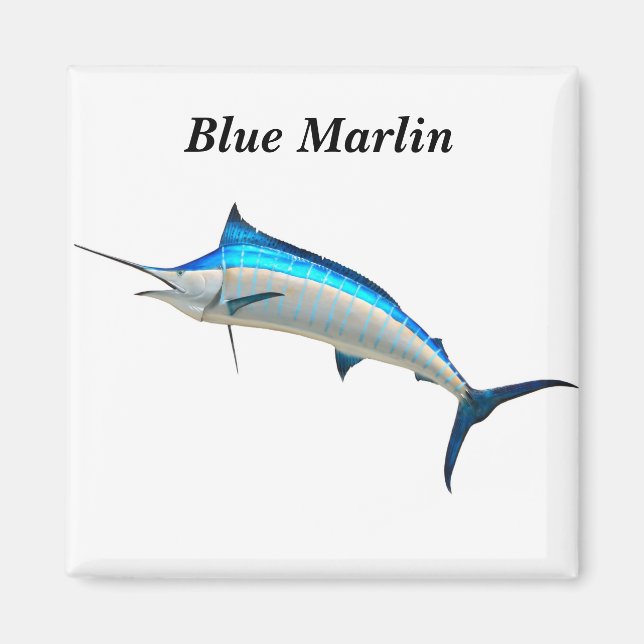 Blue Marlin Game Fish Magnet (Front)