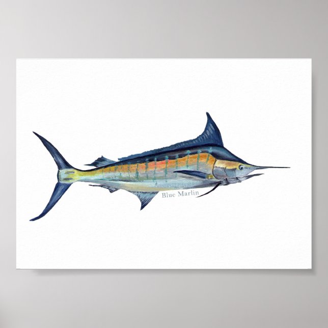 Blue Marlin poster (Front)