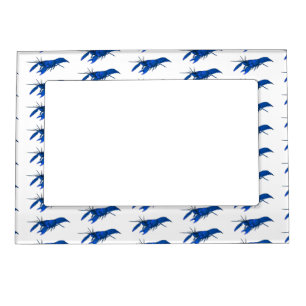 Blue marron crayfish cartoon illustration magnetic frame