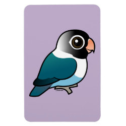 Blue Masked Lovebird 4