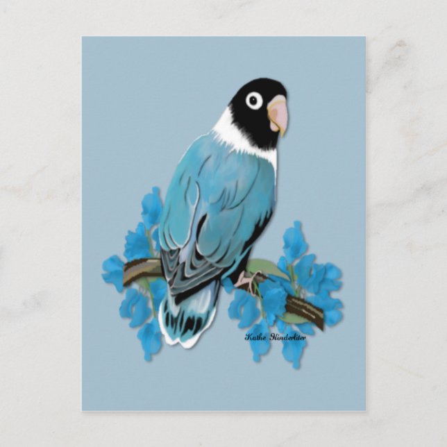 Blue Masked Lovebird Postcard (Front)