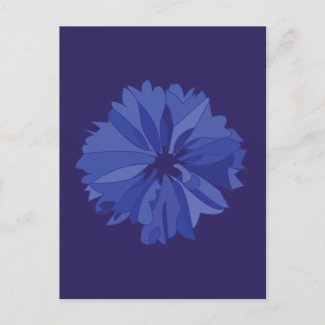 Blue Meadow Cornflower Floral Pattern