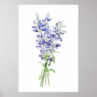 blue mealycup sage flowers bouquet watercolor poster
