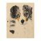 Blue Merle Aussie Dog 8"x8" Wood Photo Print