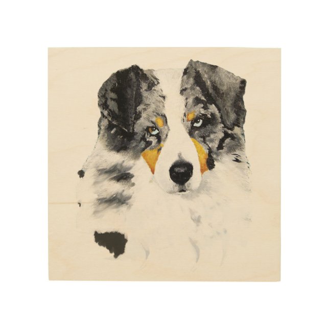 Blue Merle Aussie Dog 8"x8" Wood Photo Print (Front)