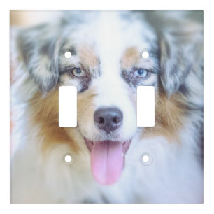 Blue Merle Aussie  Light Switch Cover