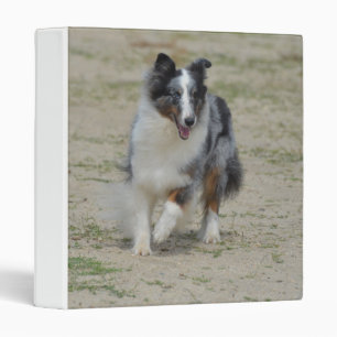 Blue Merle Australian Shepherd Binder