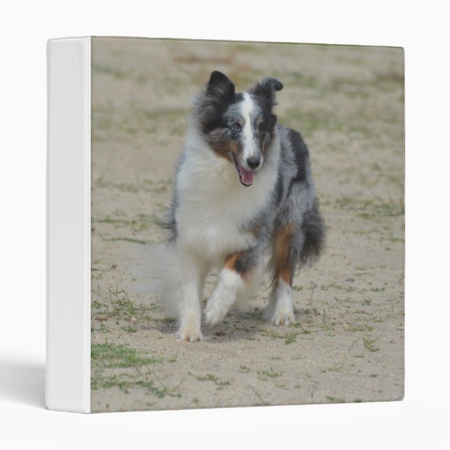 Blue Merle Australian Shepherd Binder (Front/Spine)