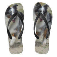 Blue Merle Australian Shepherd Flip Flops