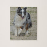 Blue Merle Australian Shepherd Jigsaw Puzzle