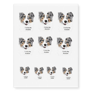 Blue Merle Australian Shepherd Temporary Tattoos