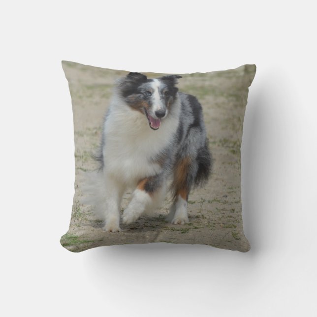 Blue Merle Australian Shepherd Throw Pillow (Front)
