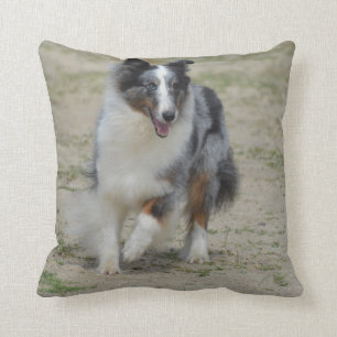 Blue Merle Australian Shepherd Throw Pillow