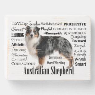 Blue Merle Australian Shepherd Wooden Box Sign