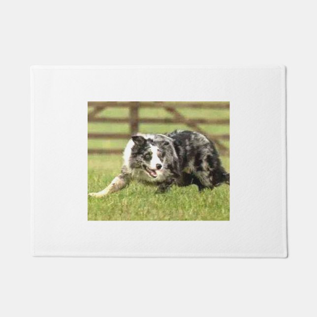 Blue Merle Border Collie~Joe~Doormat Doormat (Front)