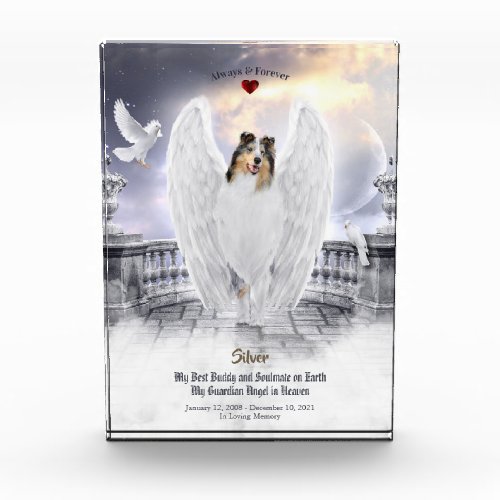 Blue Merle Collie Angel in Heaven _ Pet Memorial Photo Block